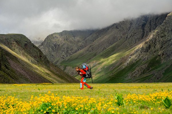 Essential Tips for Booking the Perfect Edinburgh Holiday Rental for Your Festival Experience